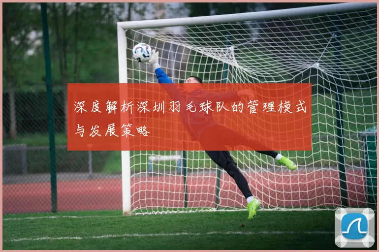 深度解析深圳羽毛球队的管理模式与发展策略