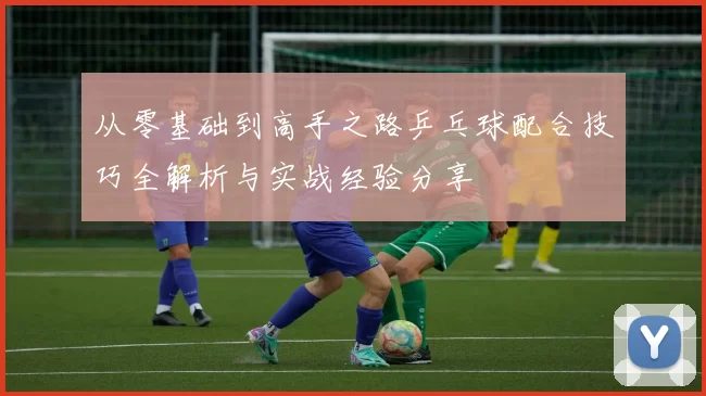 从零基础到高手之路乒乓球配合技巧全解析与实战经验分享