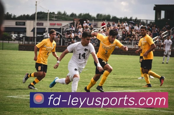 乐鱼正版入口平台生态图