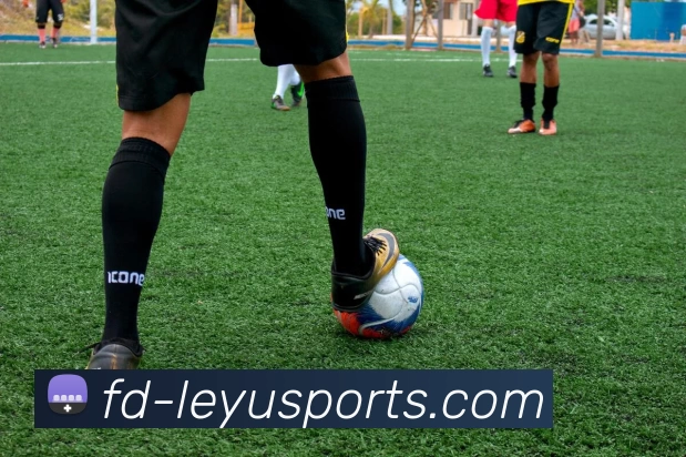 乐鱼正版入口APP 封面图